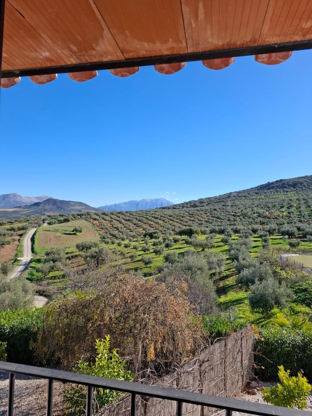 Hacienda Riogordo Panzió Kültér fotó