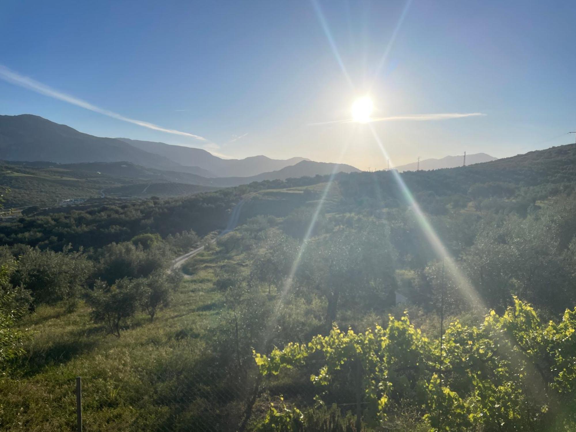 Hacienda Riogordo Panzió Kültér fotó